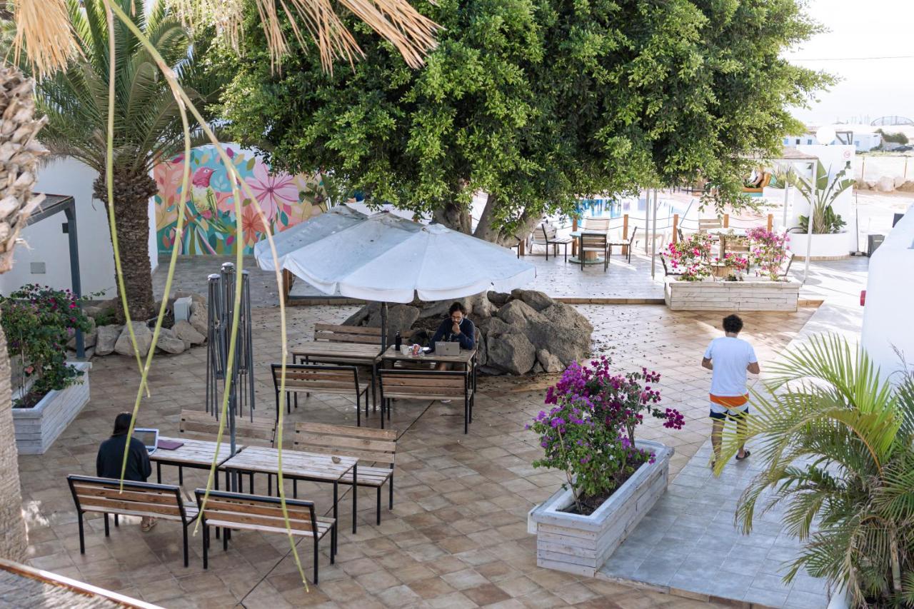 The Tree House Tenerife El Médano Eksteriør bilde