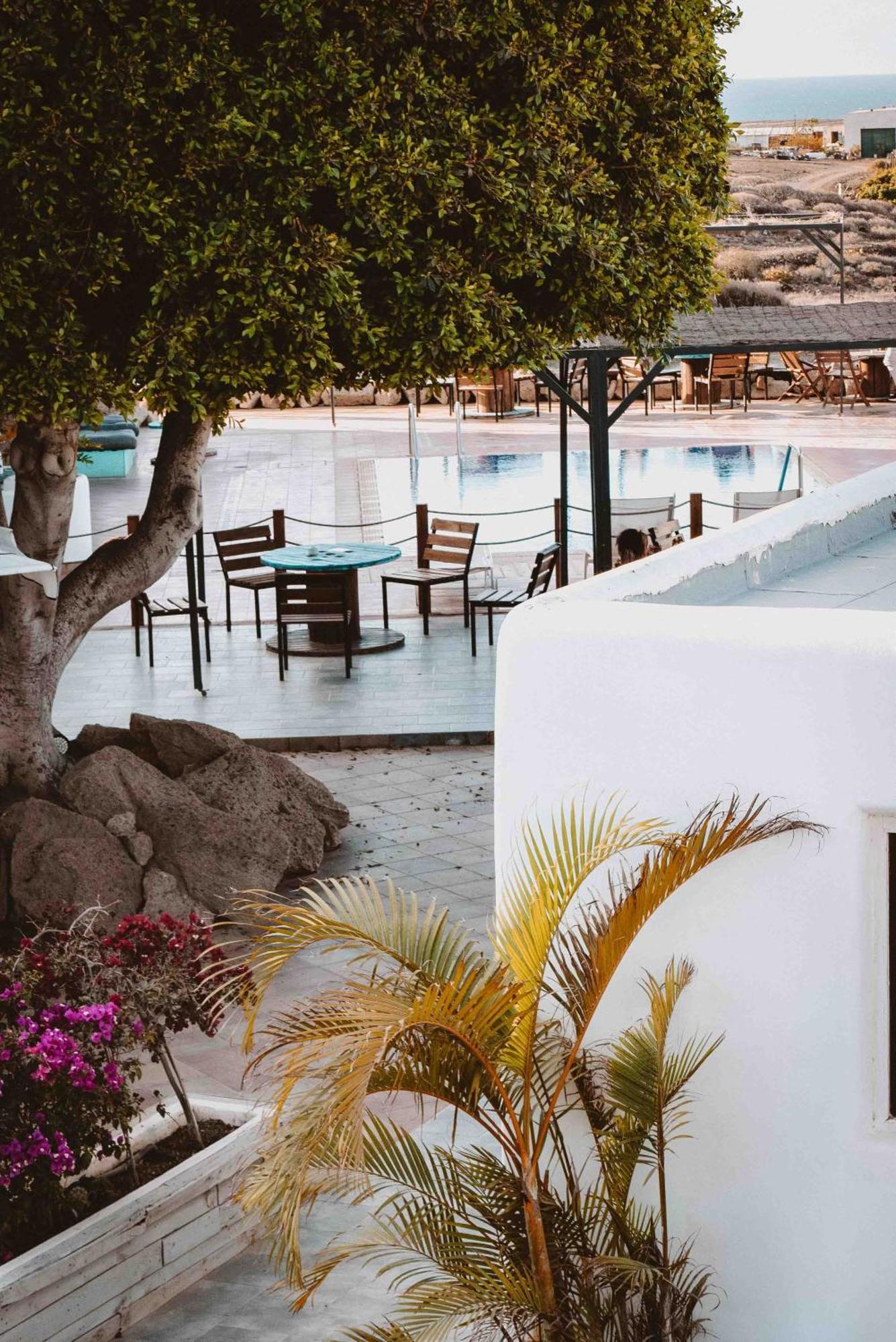 The Tree House Tenerife El Médano Eksteriør bilde