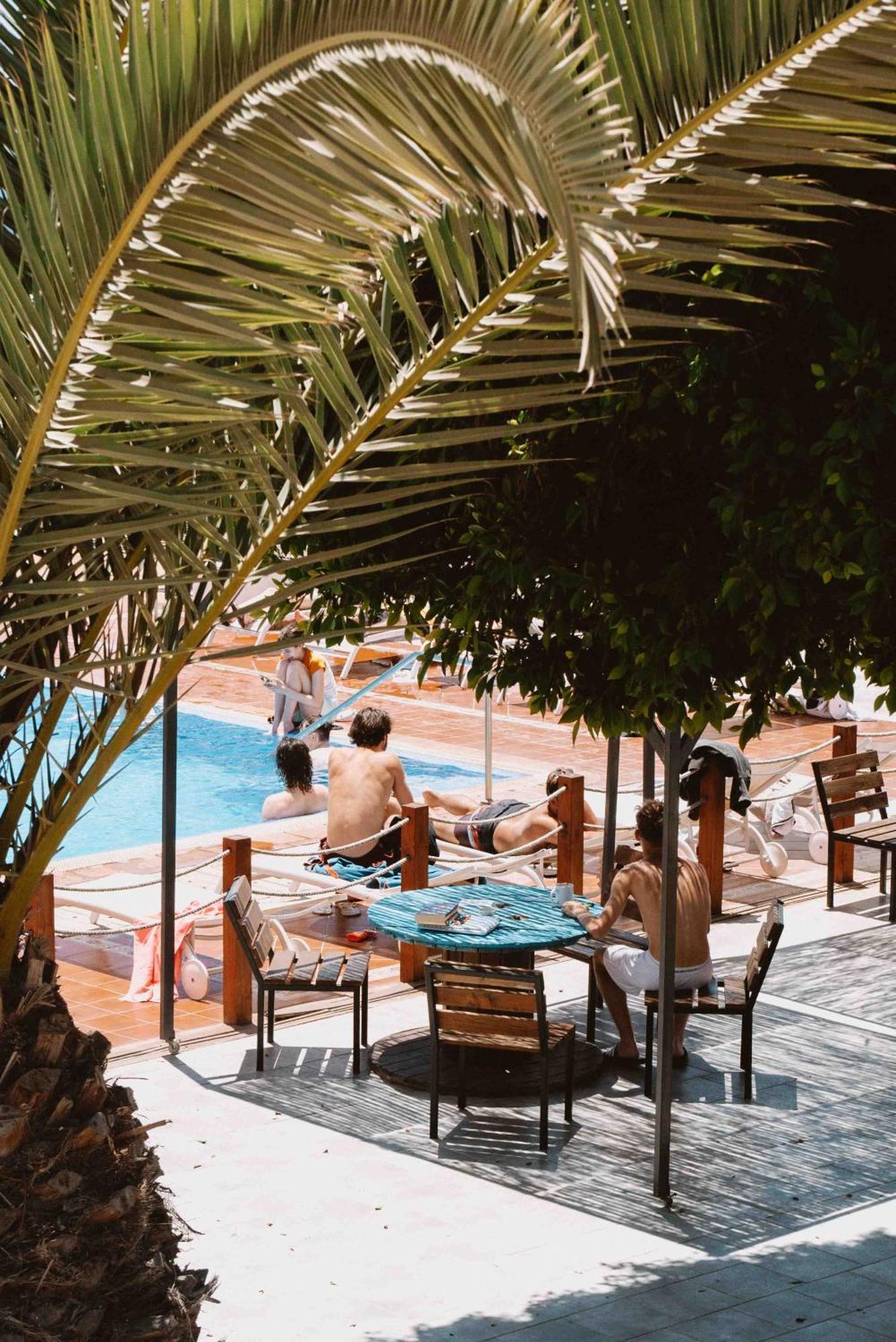 The Tree House Tenerife El Médano Eksteriør bilde